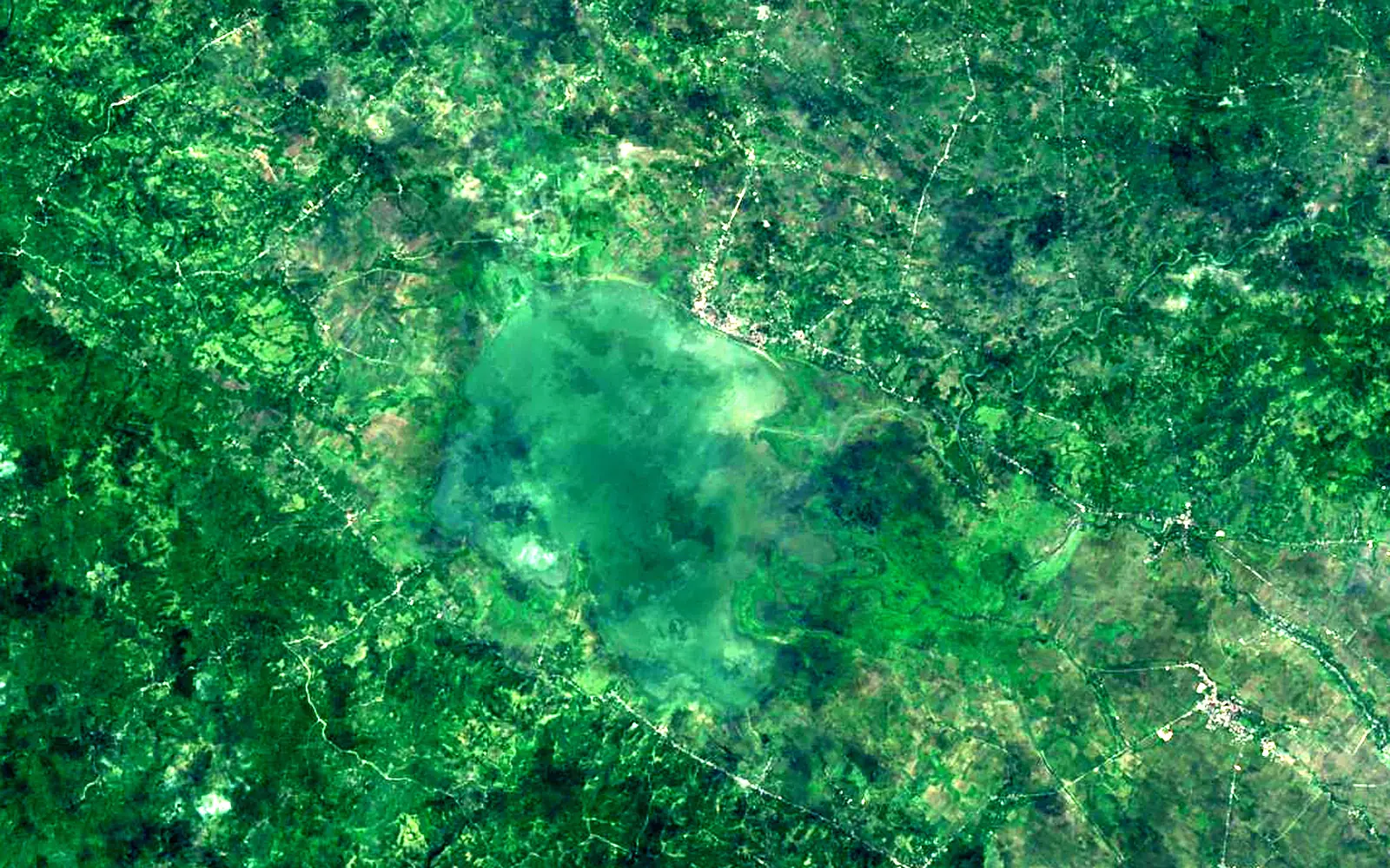 Lake Bato seen from space (Sentinel-2)