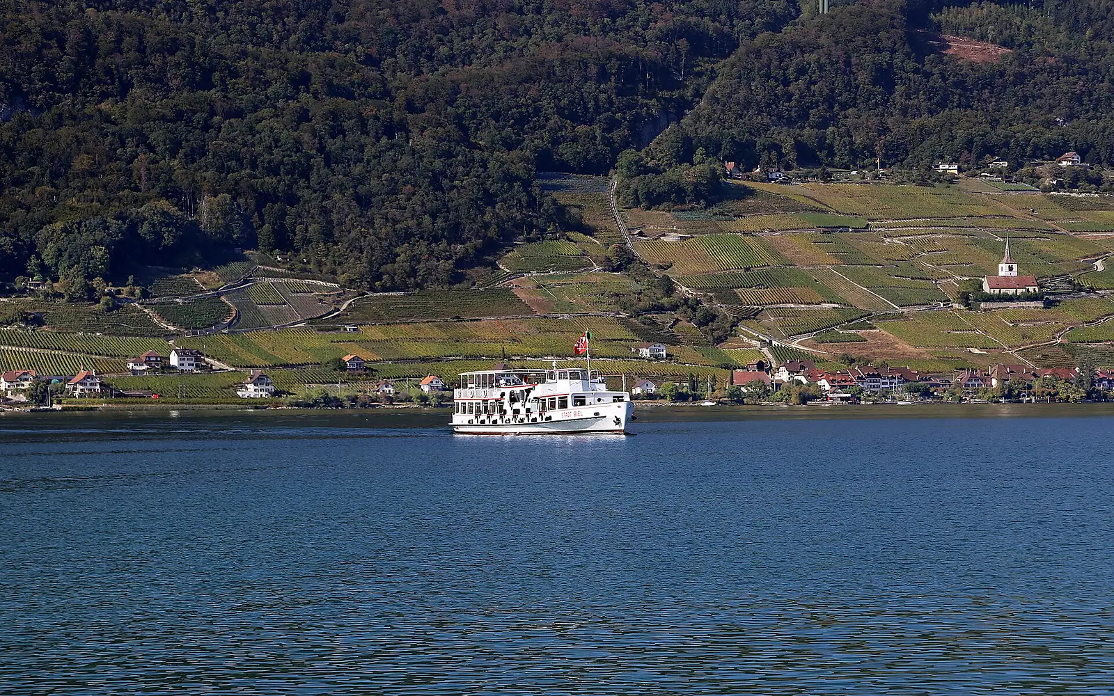 .00 3431 Bielersee (Lac de Bienne) - Ort Ligerz, Schweiz