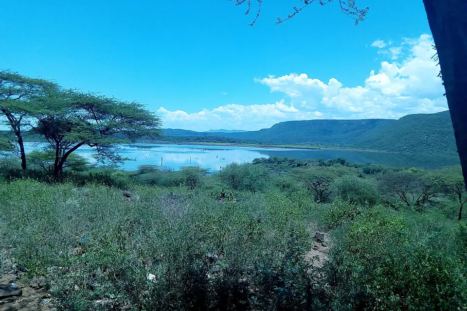 Lake bogoria view