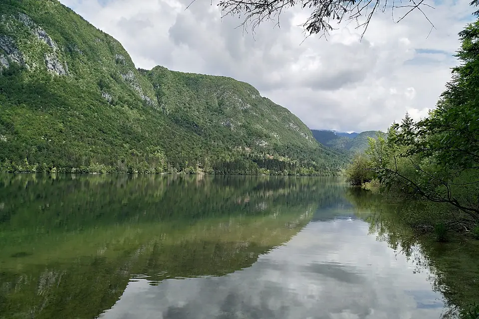 Ausblick Bohinj jezero (27169249907)
