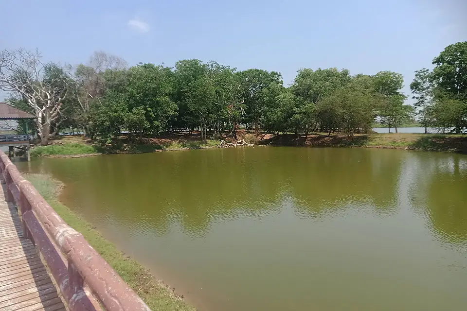 Dock of Bueng Boraphet