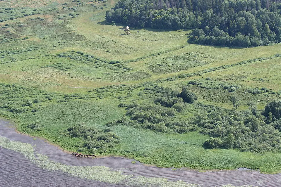 Lake Burtnieks Visrags AKlepers