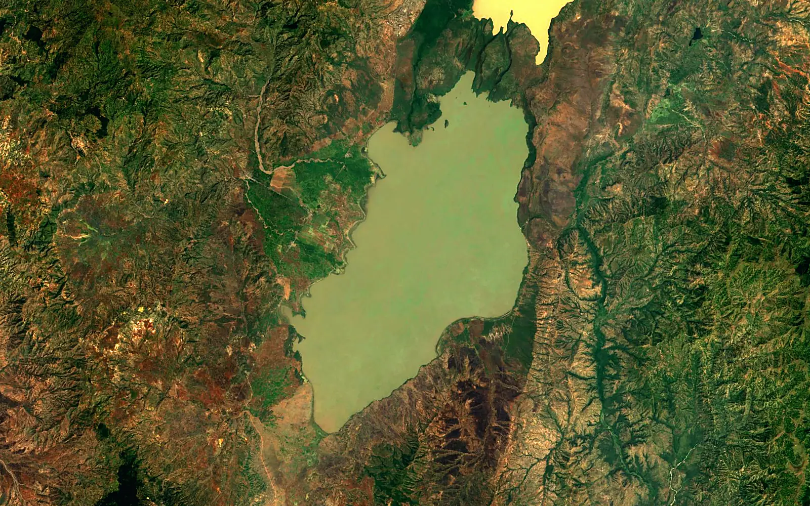 Lake Chamo seen from space (Sentinel-2)