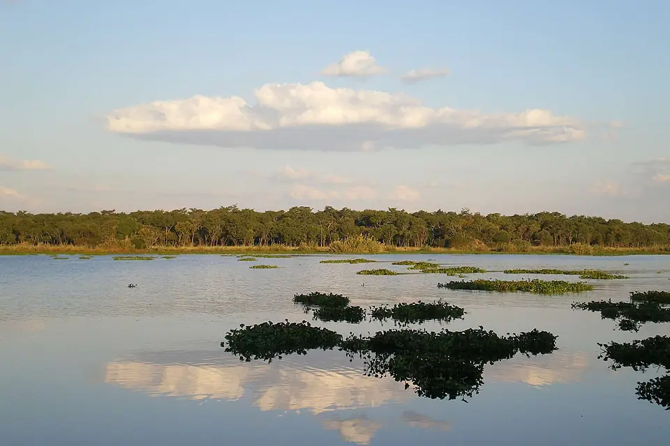 COSV - Zimbabwe 2011 - Lake Chivero