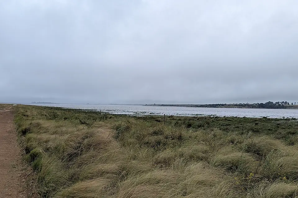 Chrissiesmeer 02