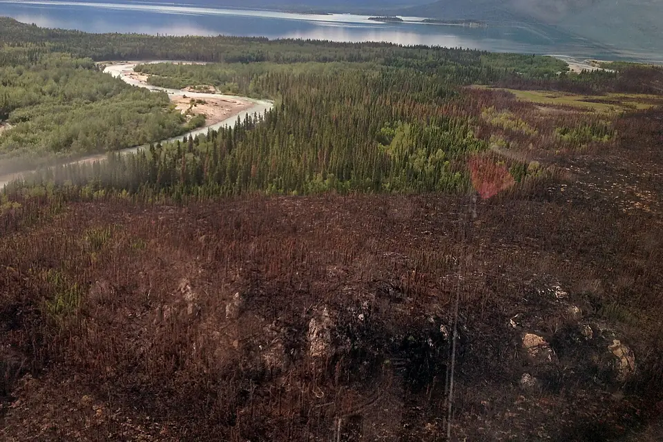 Aerial View looking NW (14512570574)