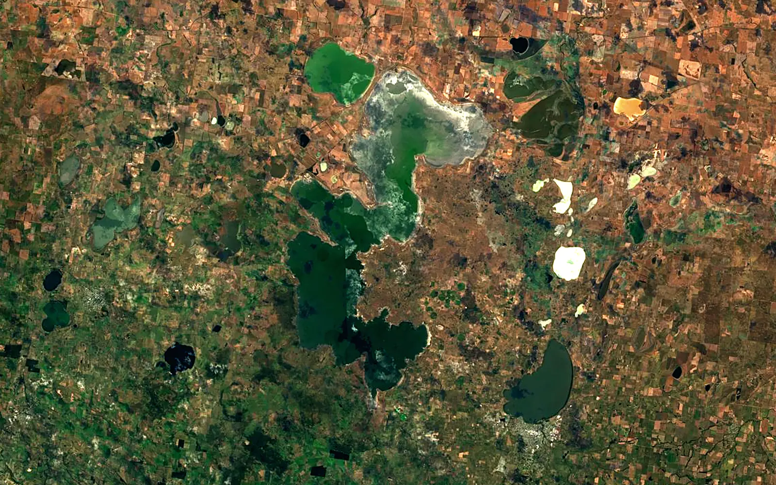Lake Corangamite seen from space (Sentinel-2)