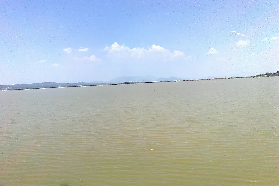 Cuitzeo Lake - panoramio (2)