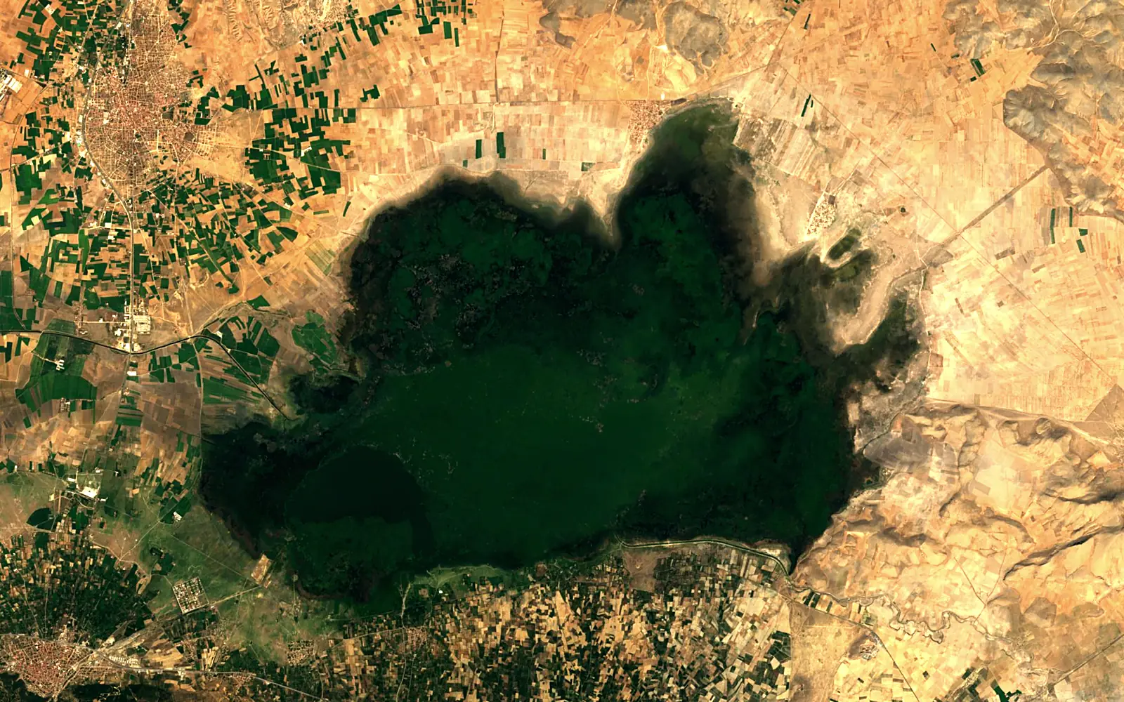 Lake Eber seen from space (Sentinel-2)