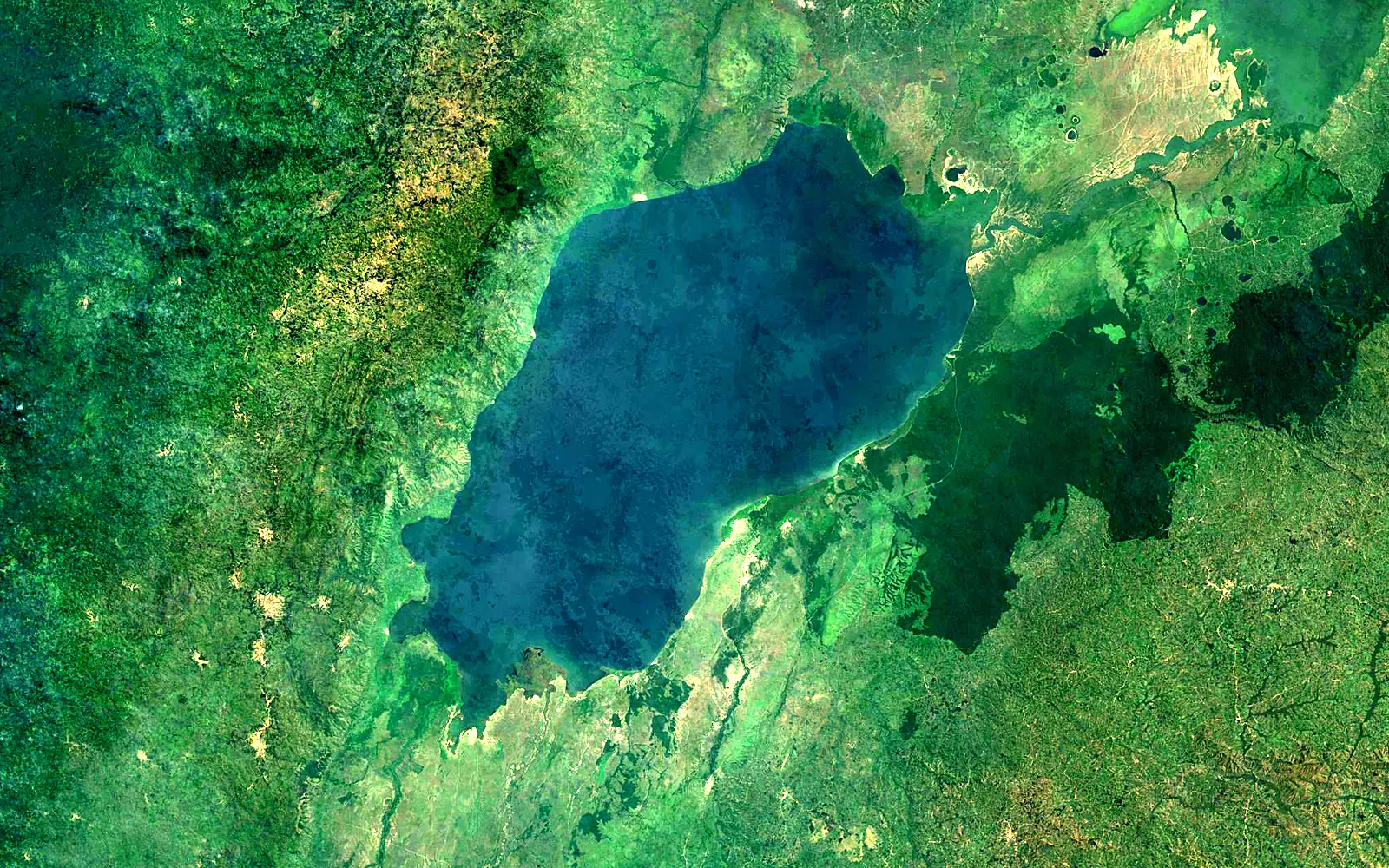 Lake Edward seen from space (Sentinel-2)