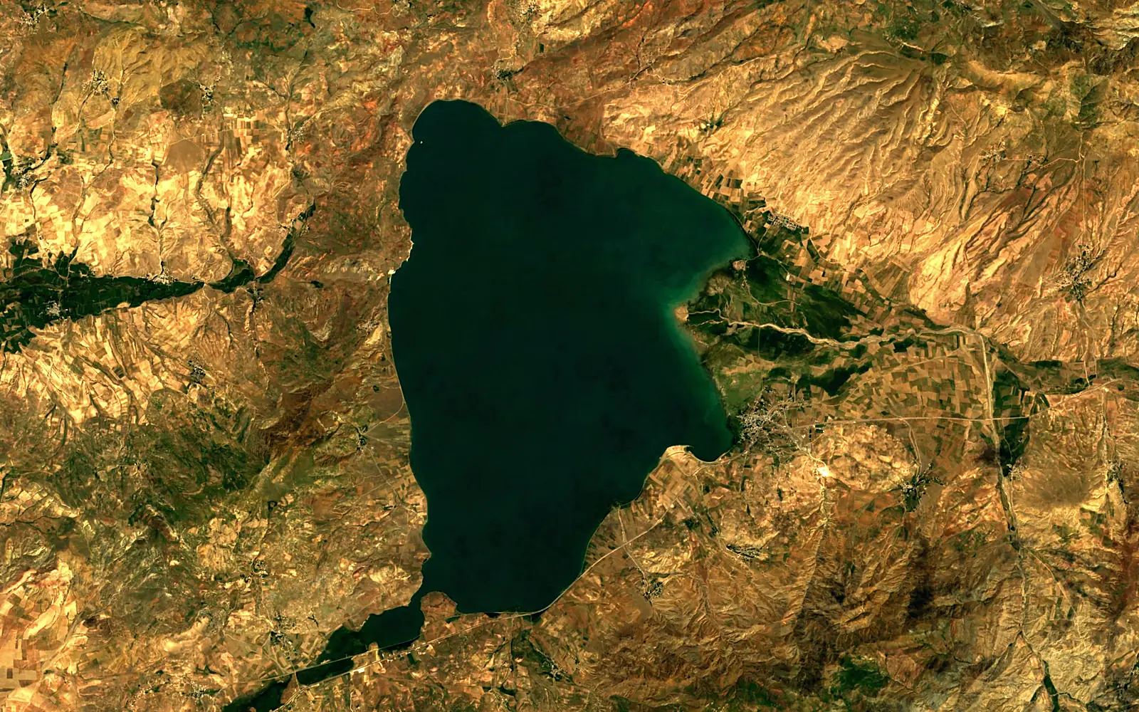Lake Erçek seen from space (Sentinel-2)