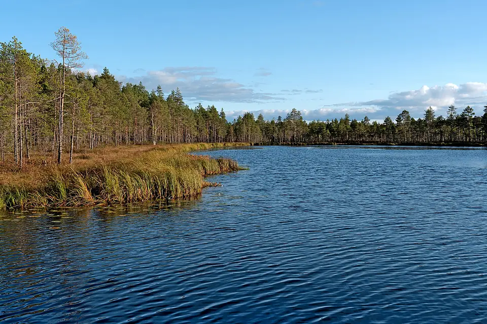 Lake Valkijärvi 20231005