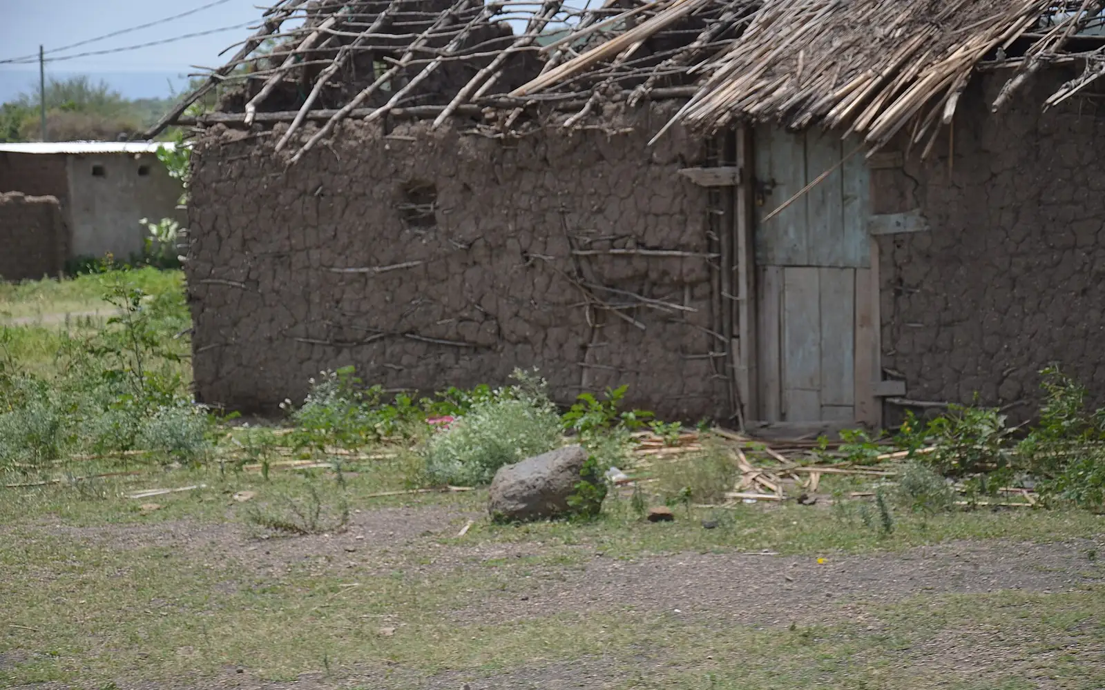 A hut in Eyasi