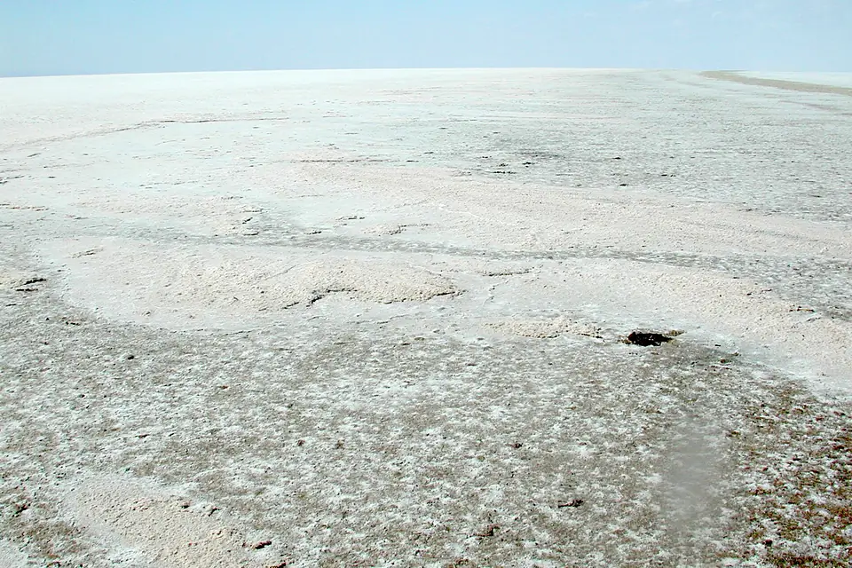 CSIRO ScienceImage 3275 The surface of Lake Frome