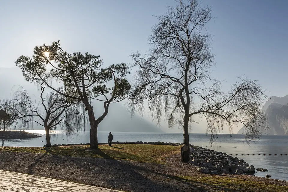 Al Lago (134417389)