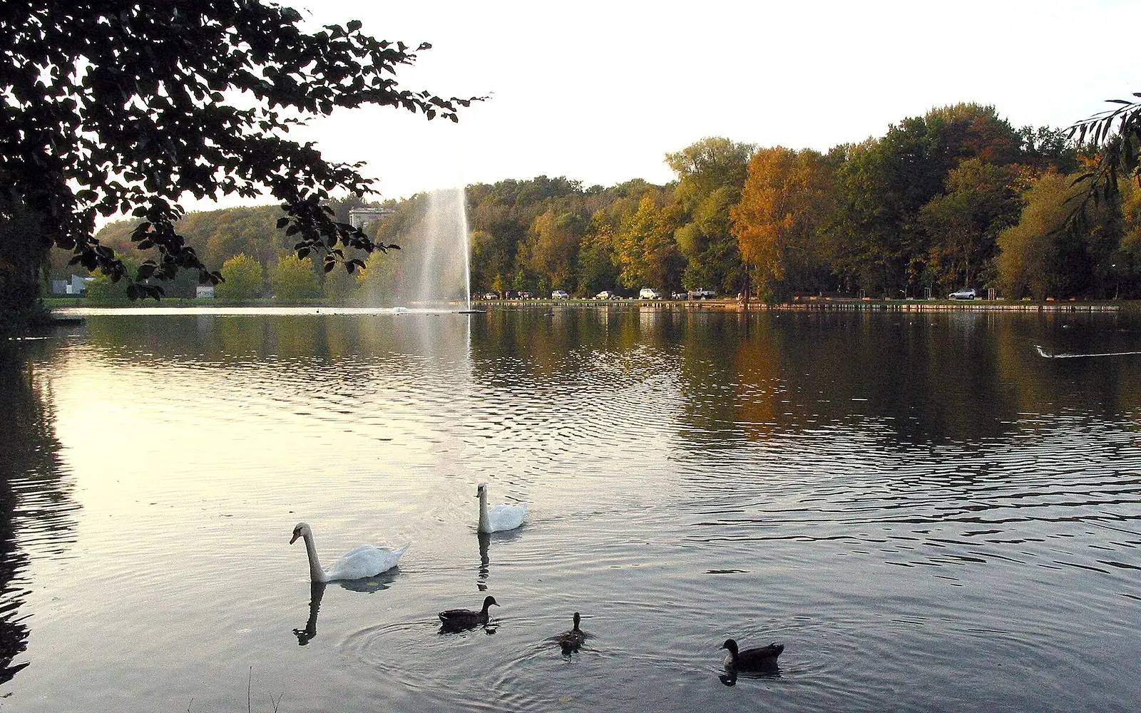 Genval Lac1a