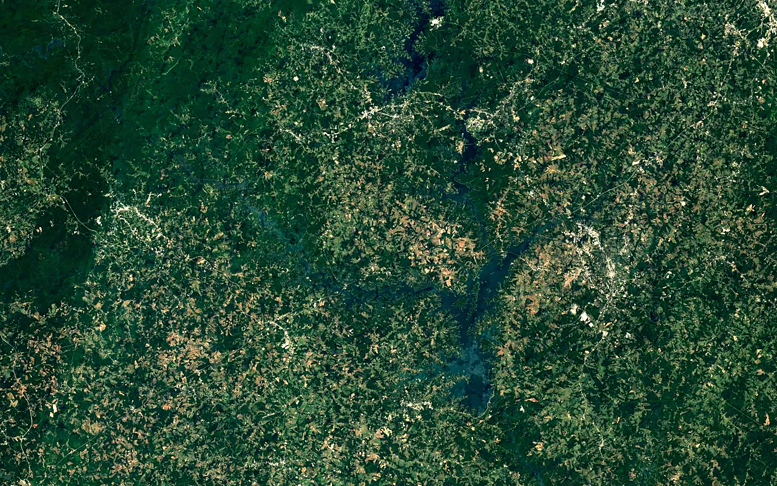 Lake Hartwell seen from space (Sentinel-2)