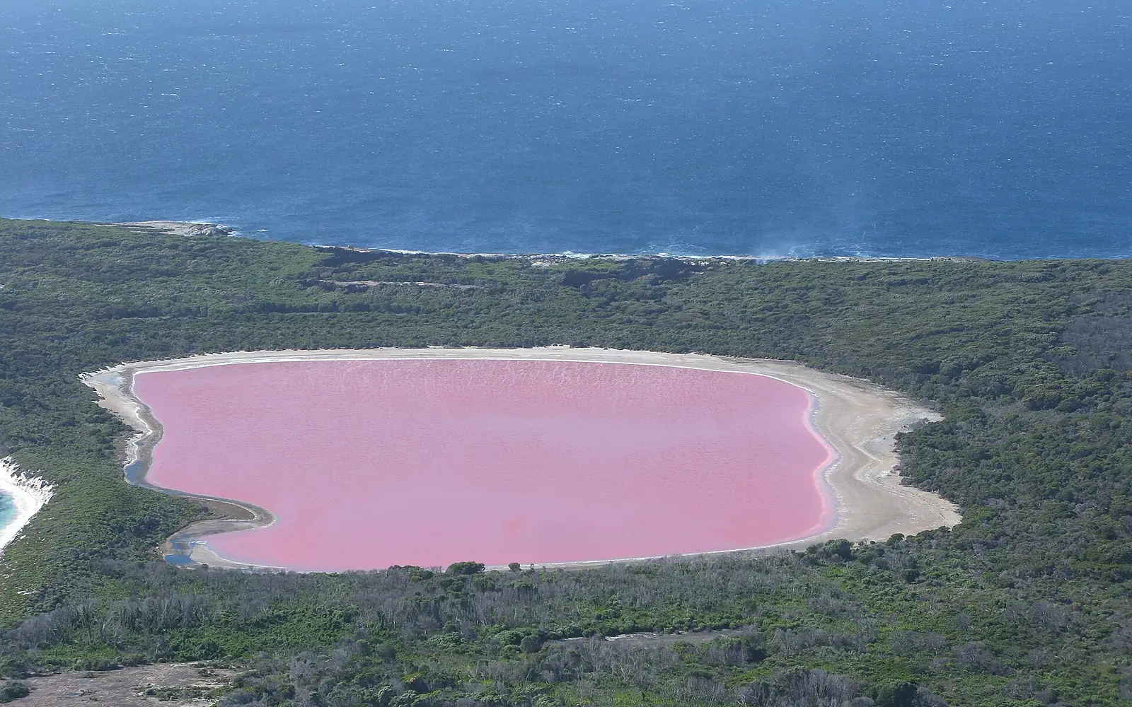Lake Hillier 2 Middle Island Recherche Archipelago NR IV-2011