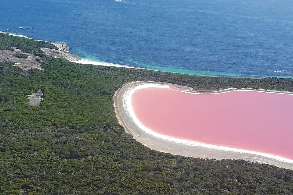 Pink Lake (Lake Hillier) on Middle Island off the coast of Esperance Western Australia