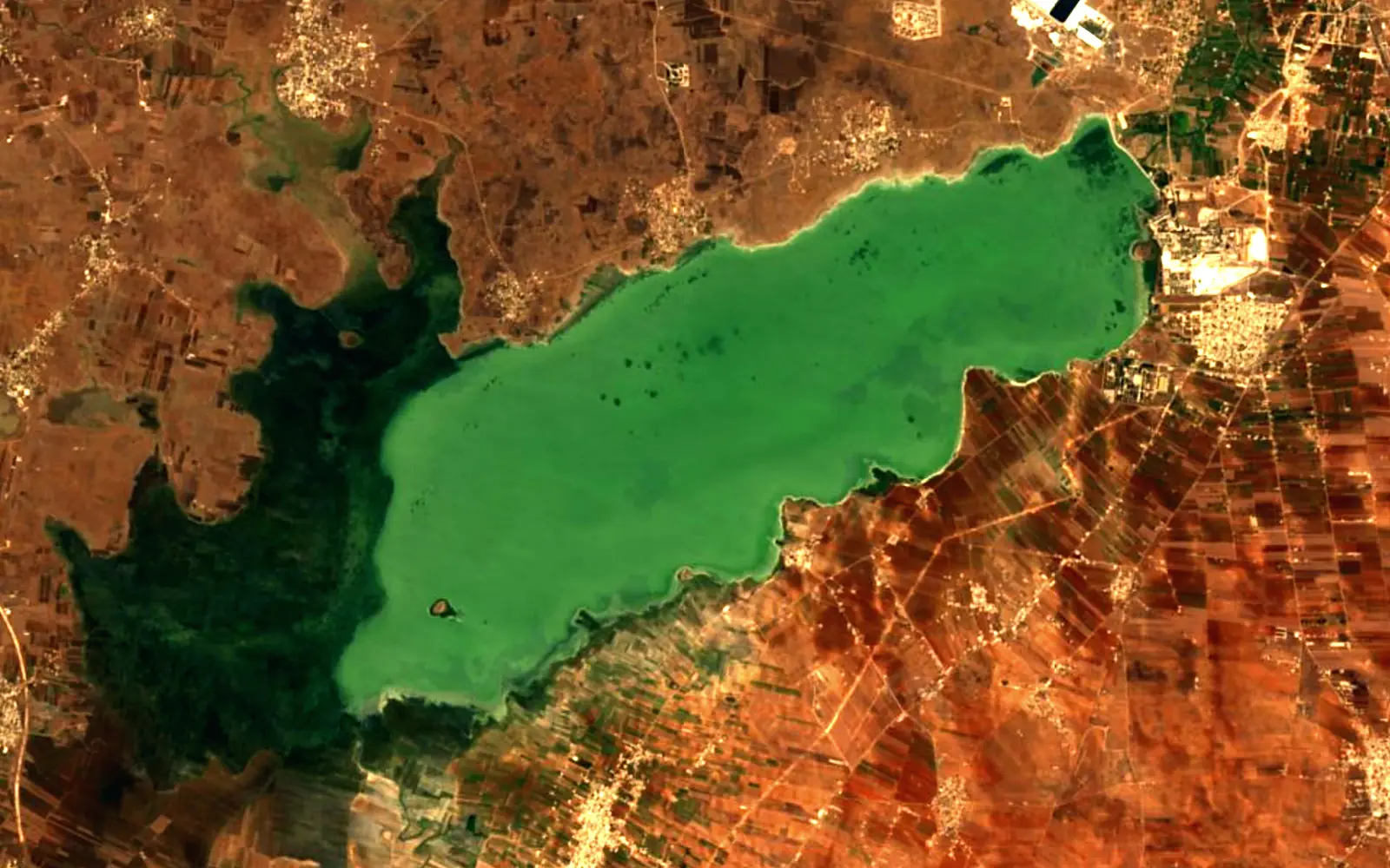 Lake Homs seen from space (Sentinel-2)