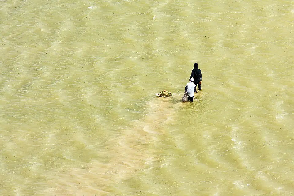 Casting the fishing nets at the Ichkeul Lake