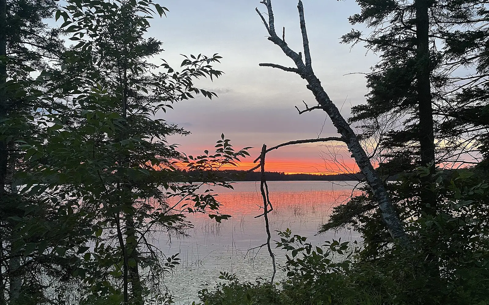 Itasca Biological Station and Laboratories Picture 1