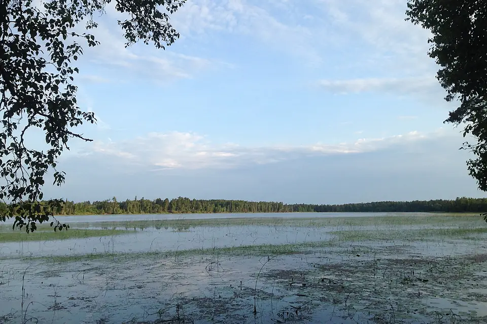 View of Lake Itasca, MN, July 2015