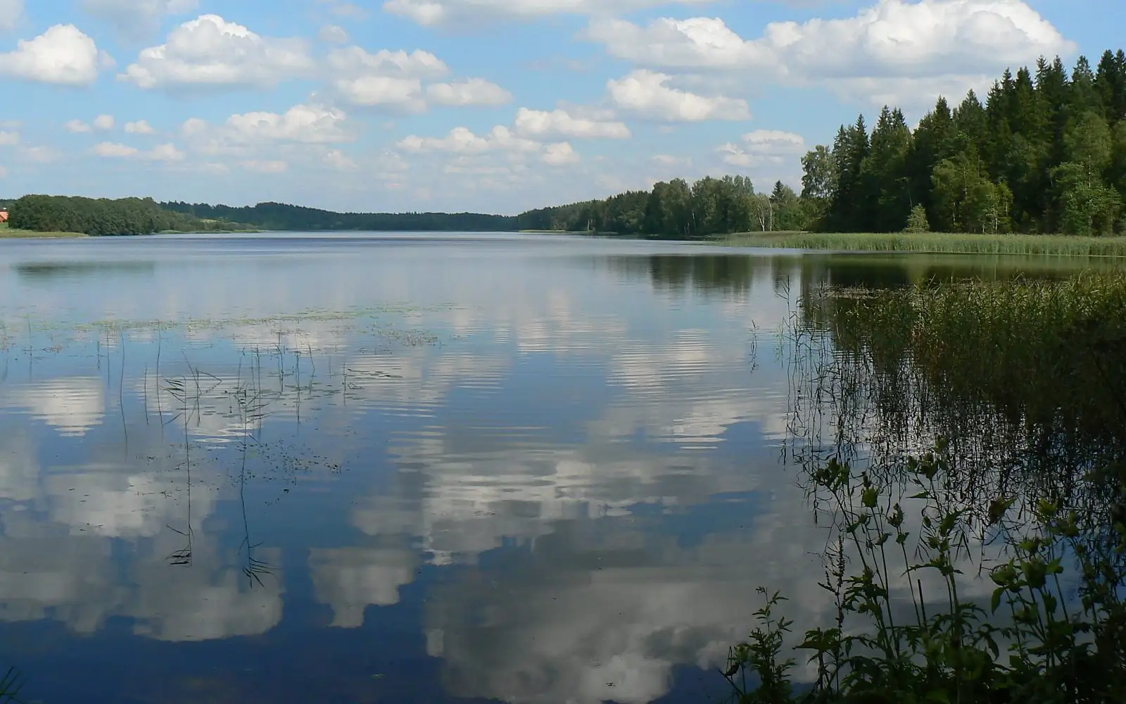 Jõksi järv