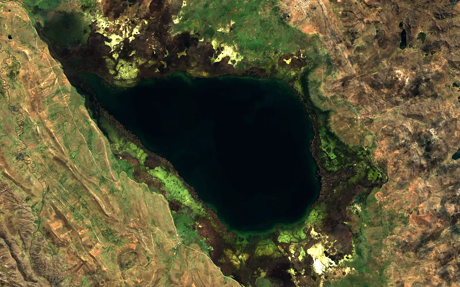 Lake Junín seen from space (Sentinel-2)