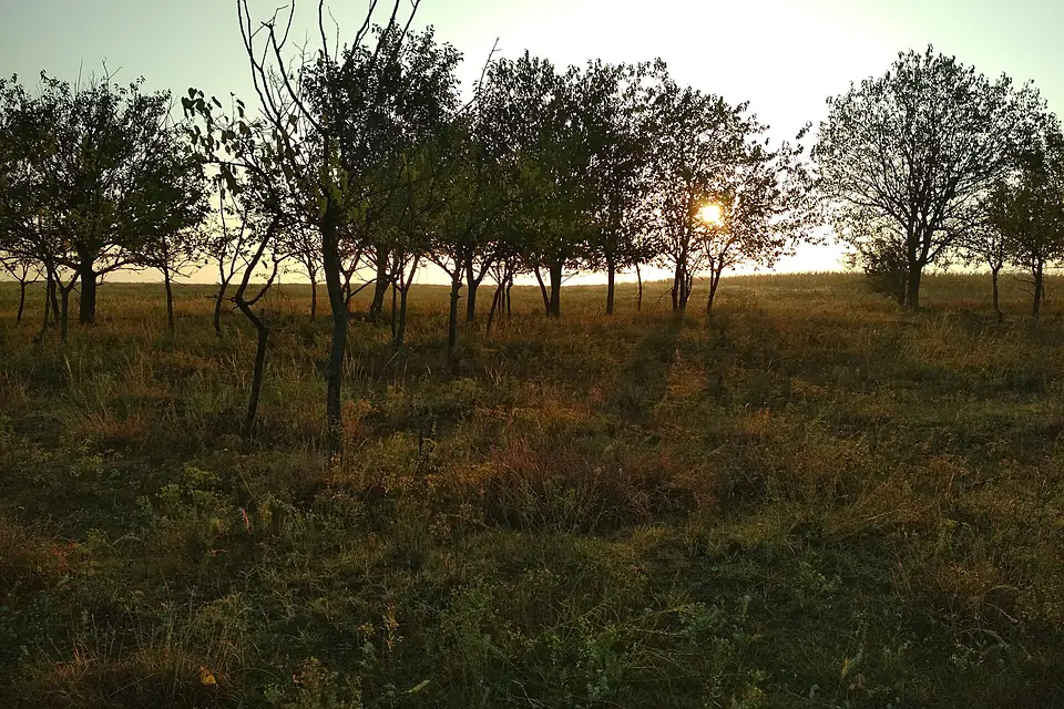 Озеро Кагул (схід сонця)