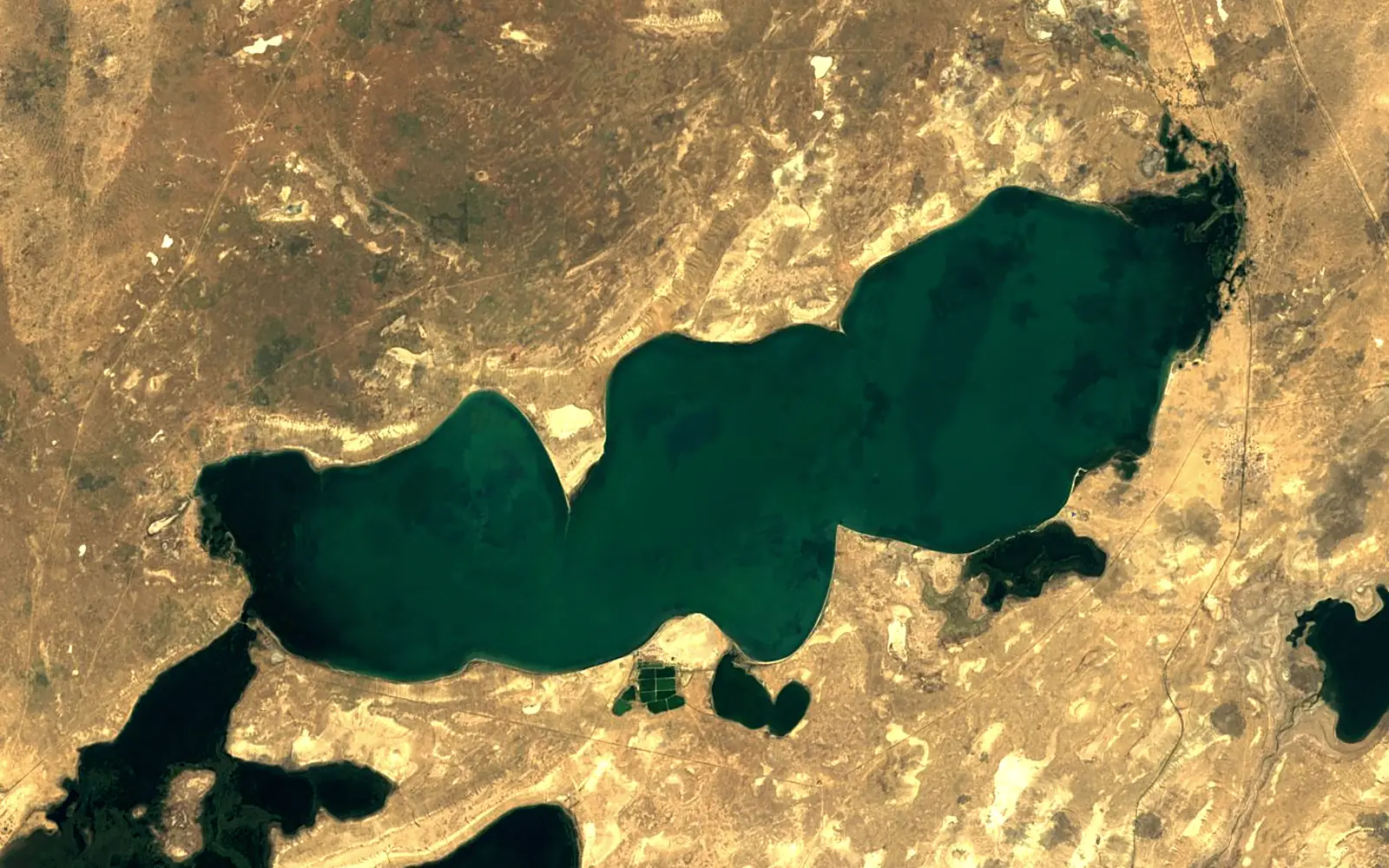 Lake Kamyslybas seen from space (Sentinel-2)