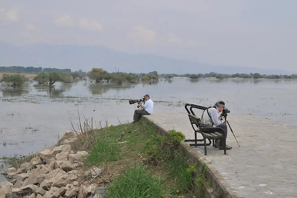 Biologists in Kerkini