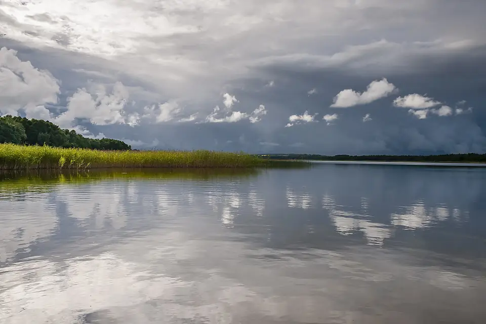 Kuremaa järv. 03