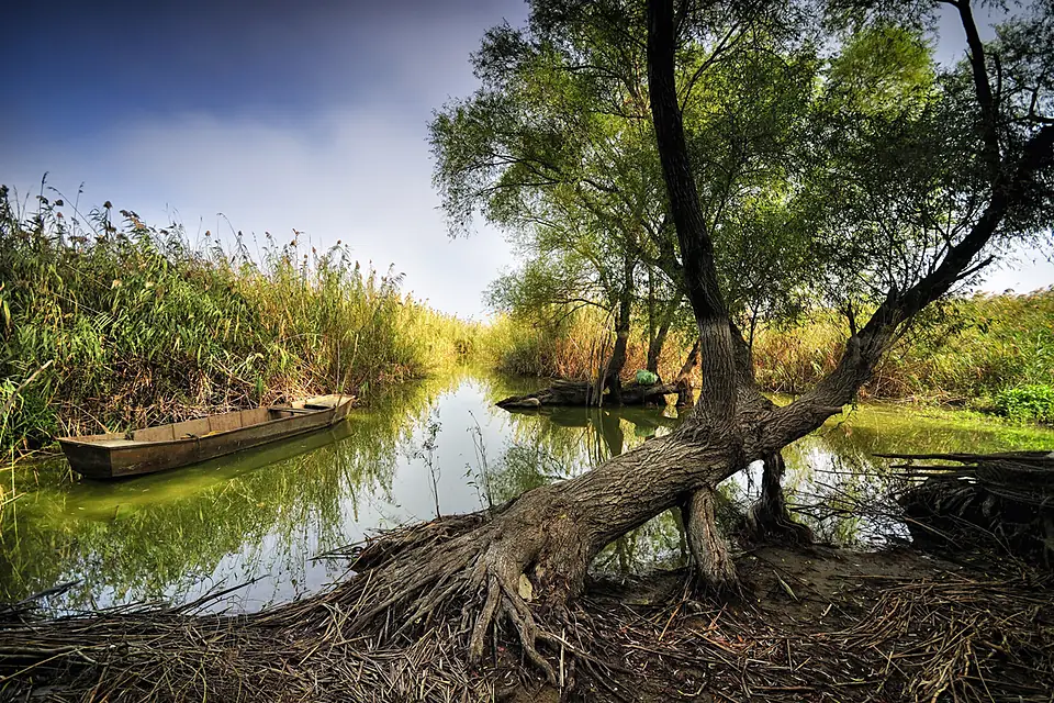 Manyas Lake