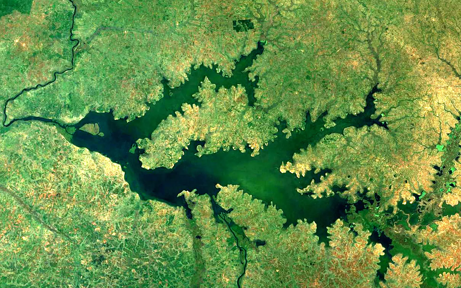 Lake Kwania seen from space (Sentinel-2)