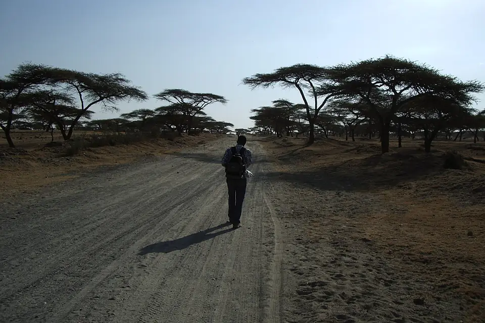 Ethiopia - Steppe Lake Langano