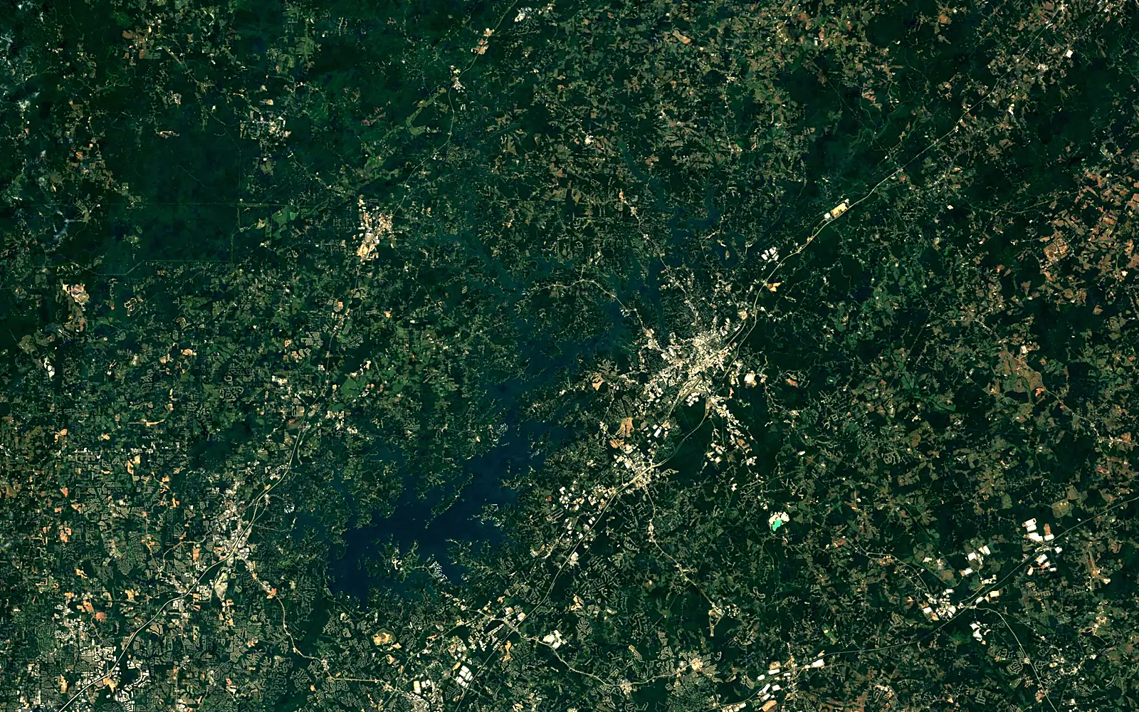 Lake Lanier seen from space (Sentinel-2)