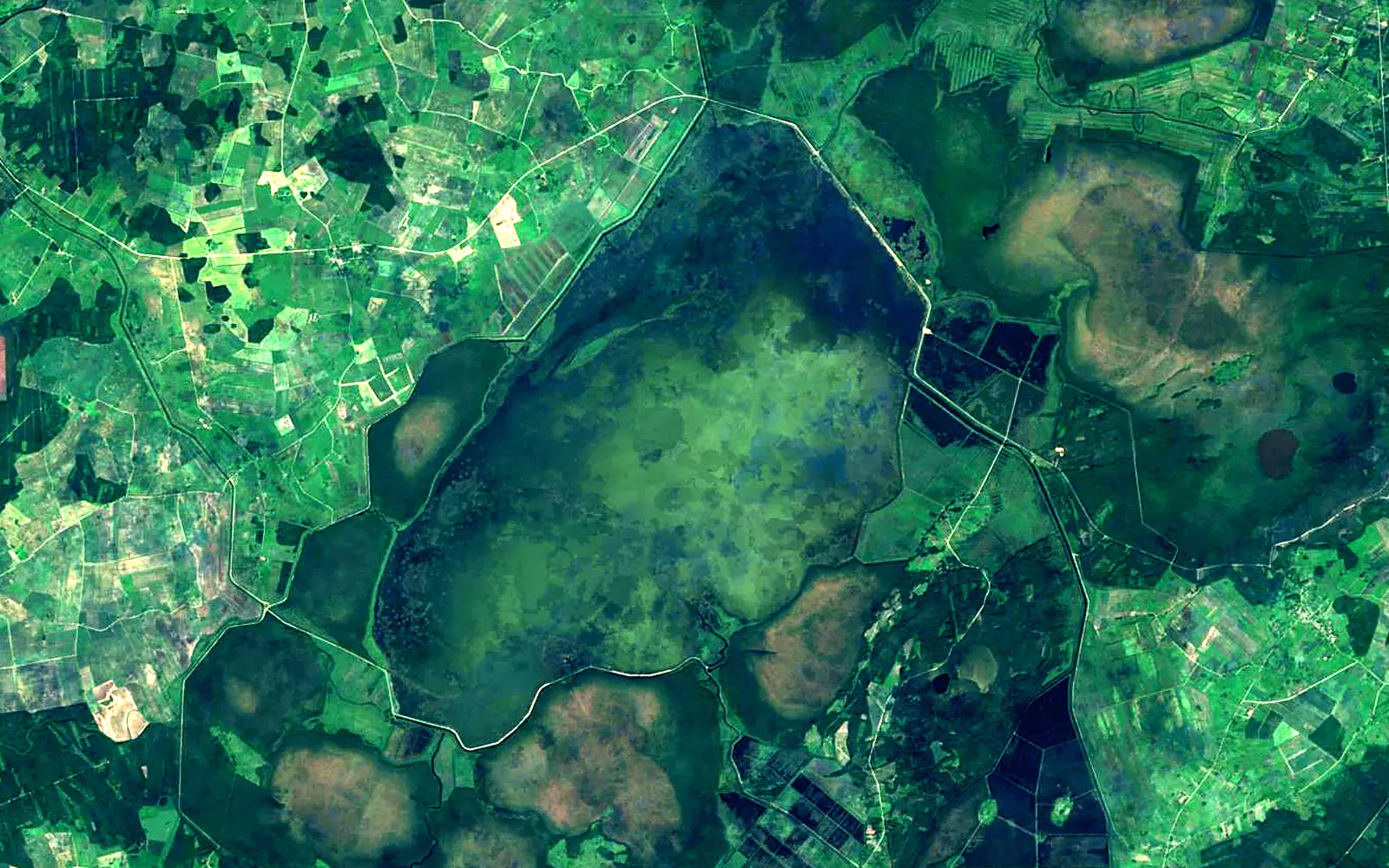 Lake Lubāns seen from space (Sentinel-2)
