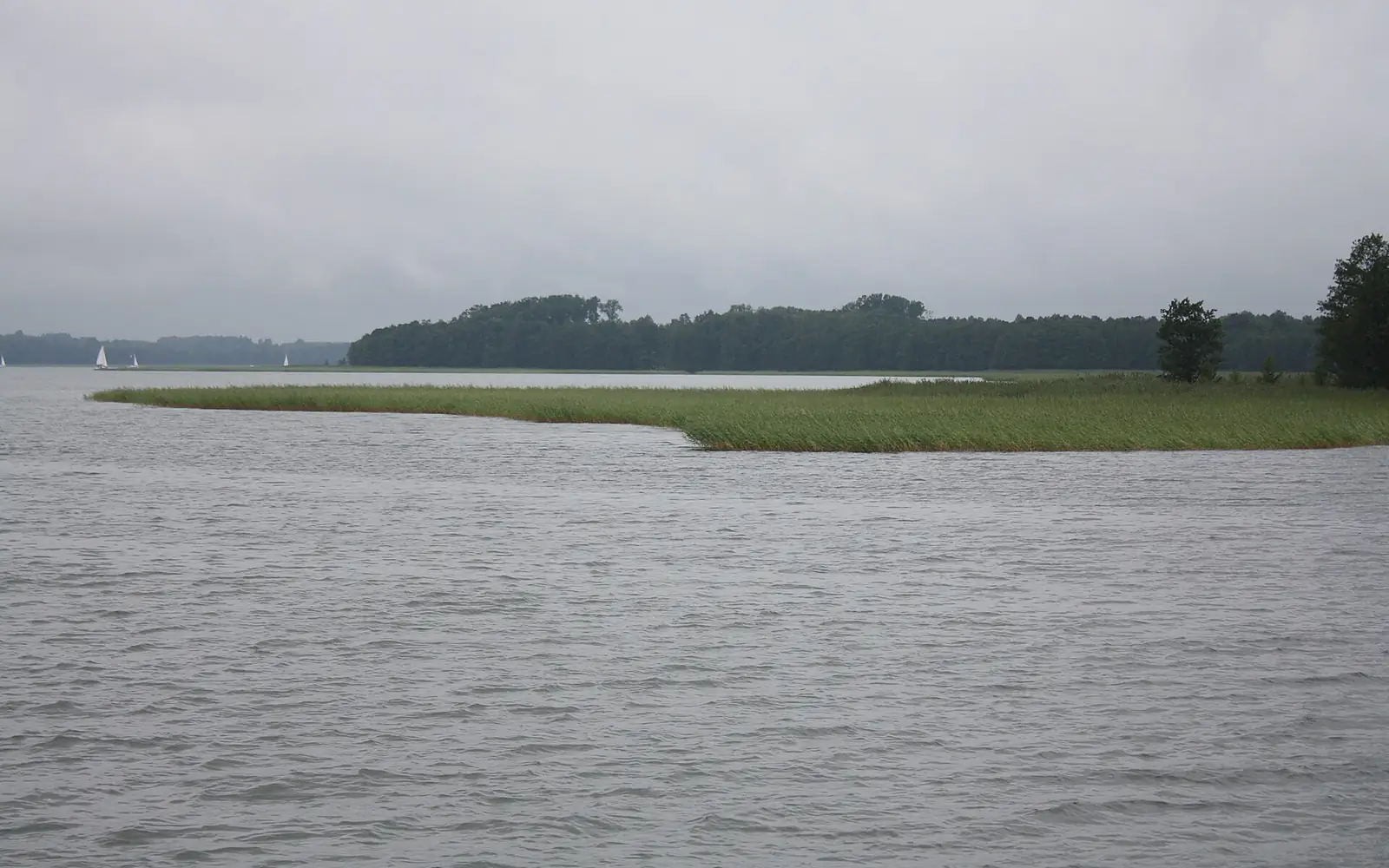 Jezioro Mamry 011