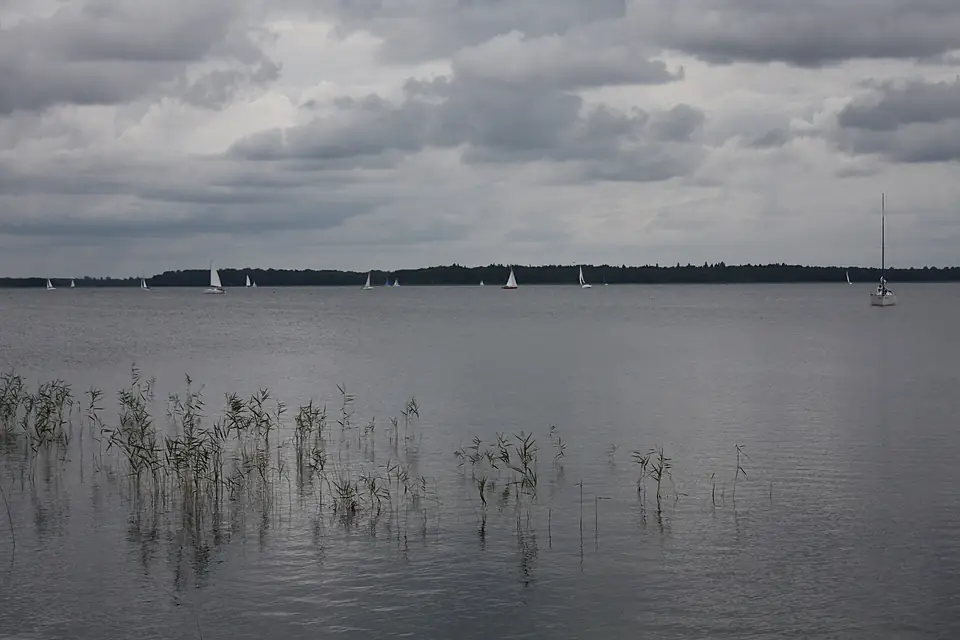 Jezioro Mamry 017