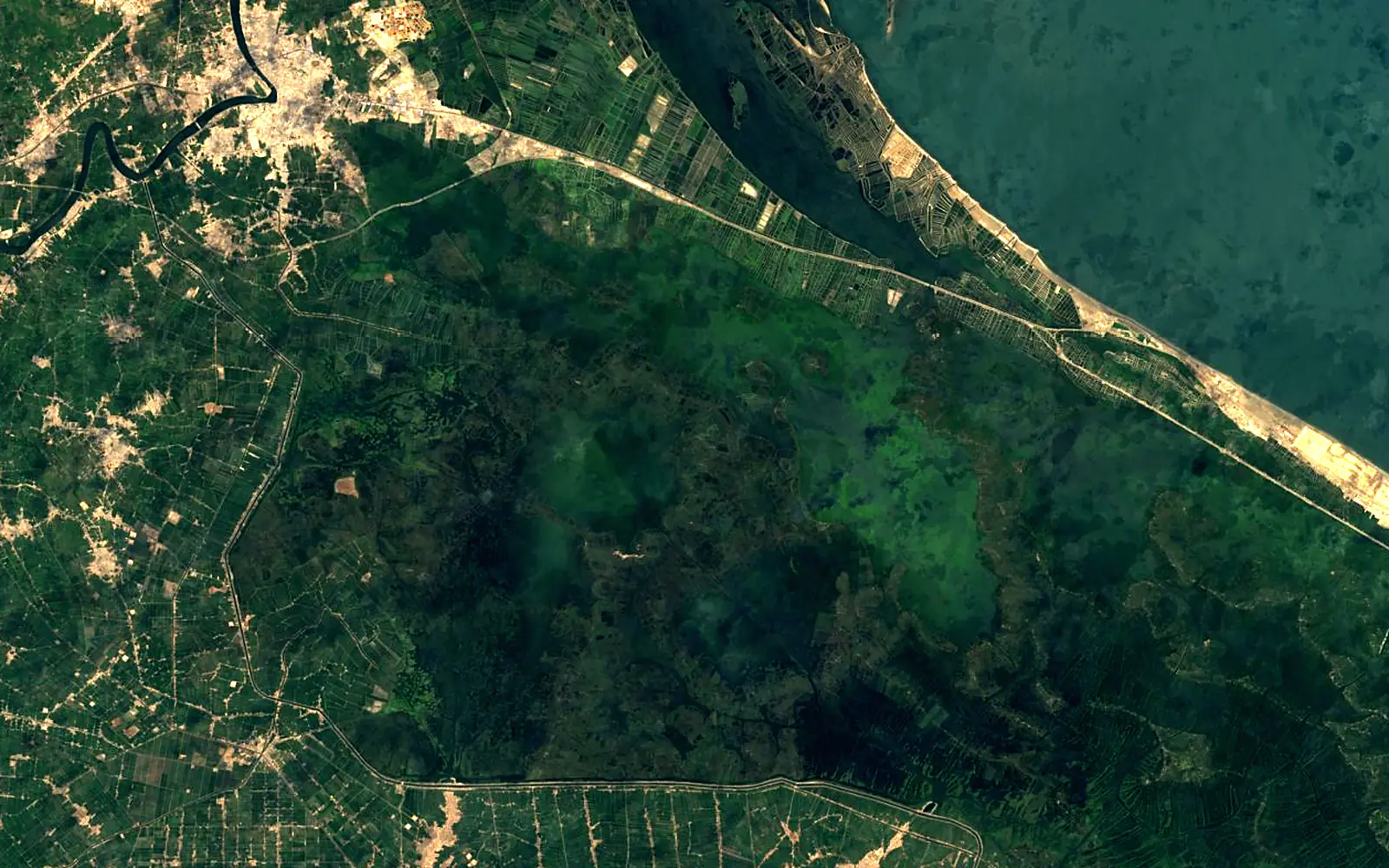 Lake Manzala seen from space (Sentinel-2)