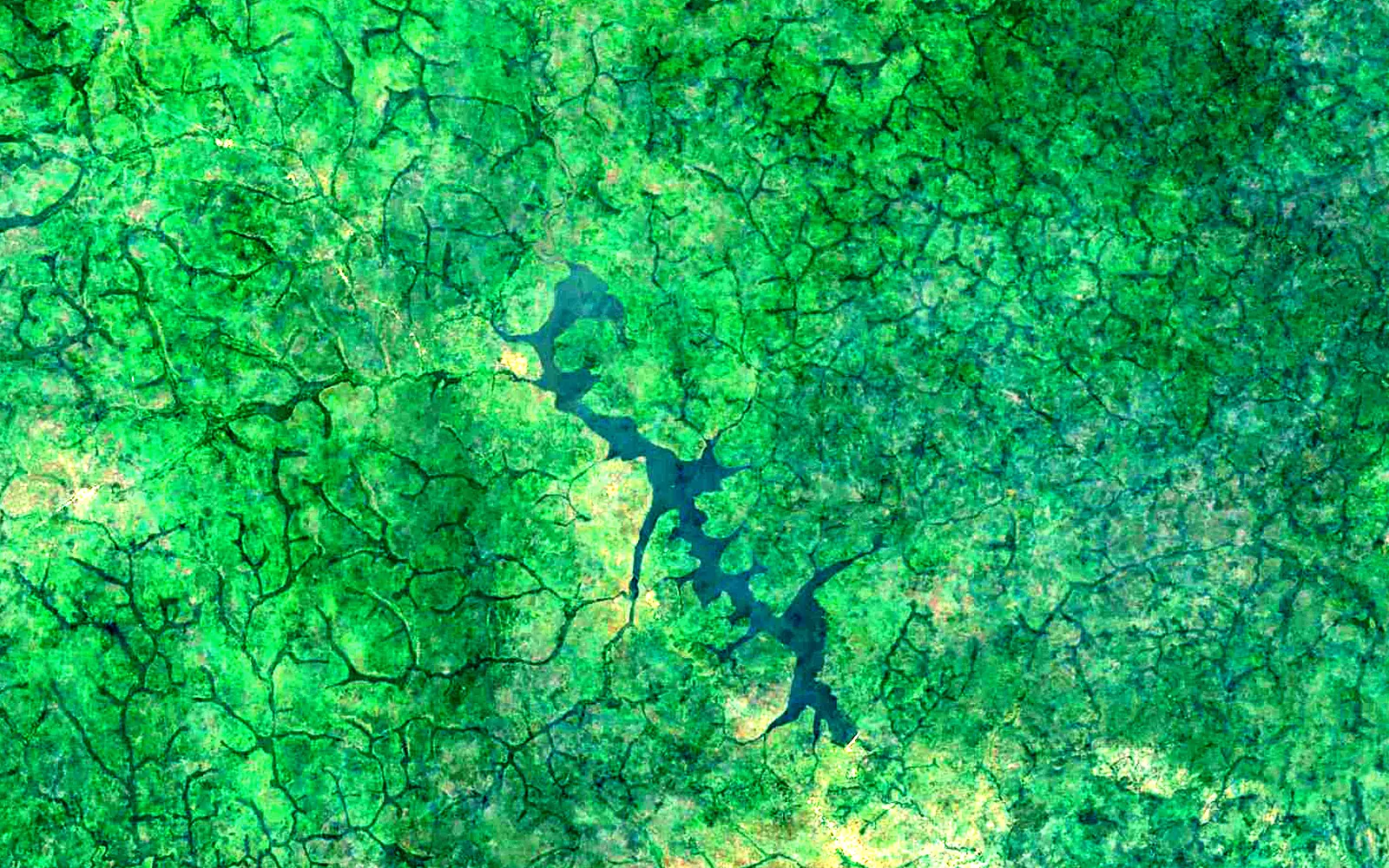 Lake Mbali seen from space (Sentinel-2)