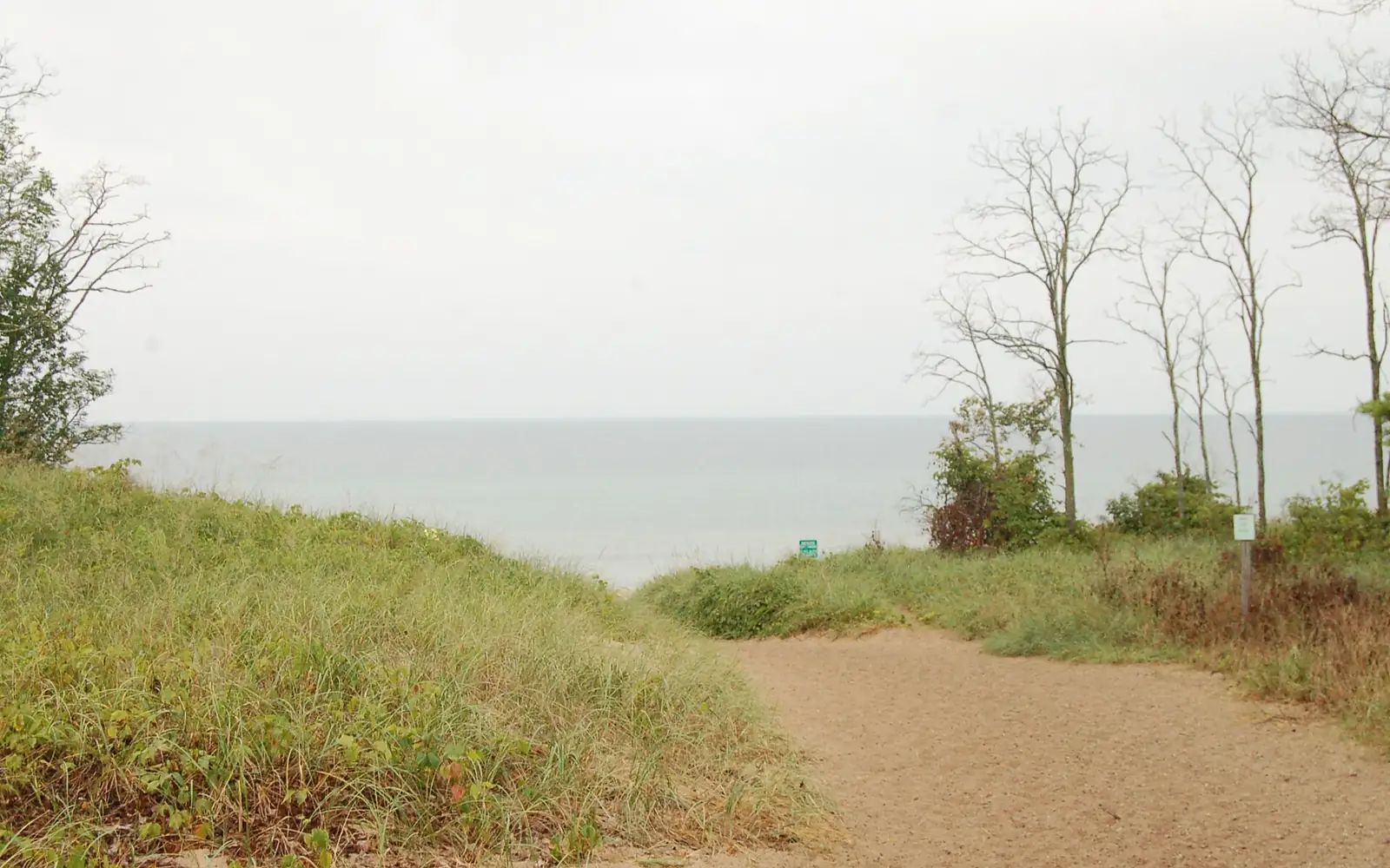 Arriving at Lake Michigan in the Morning