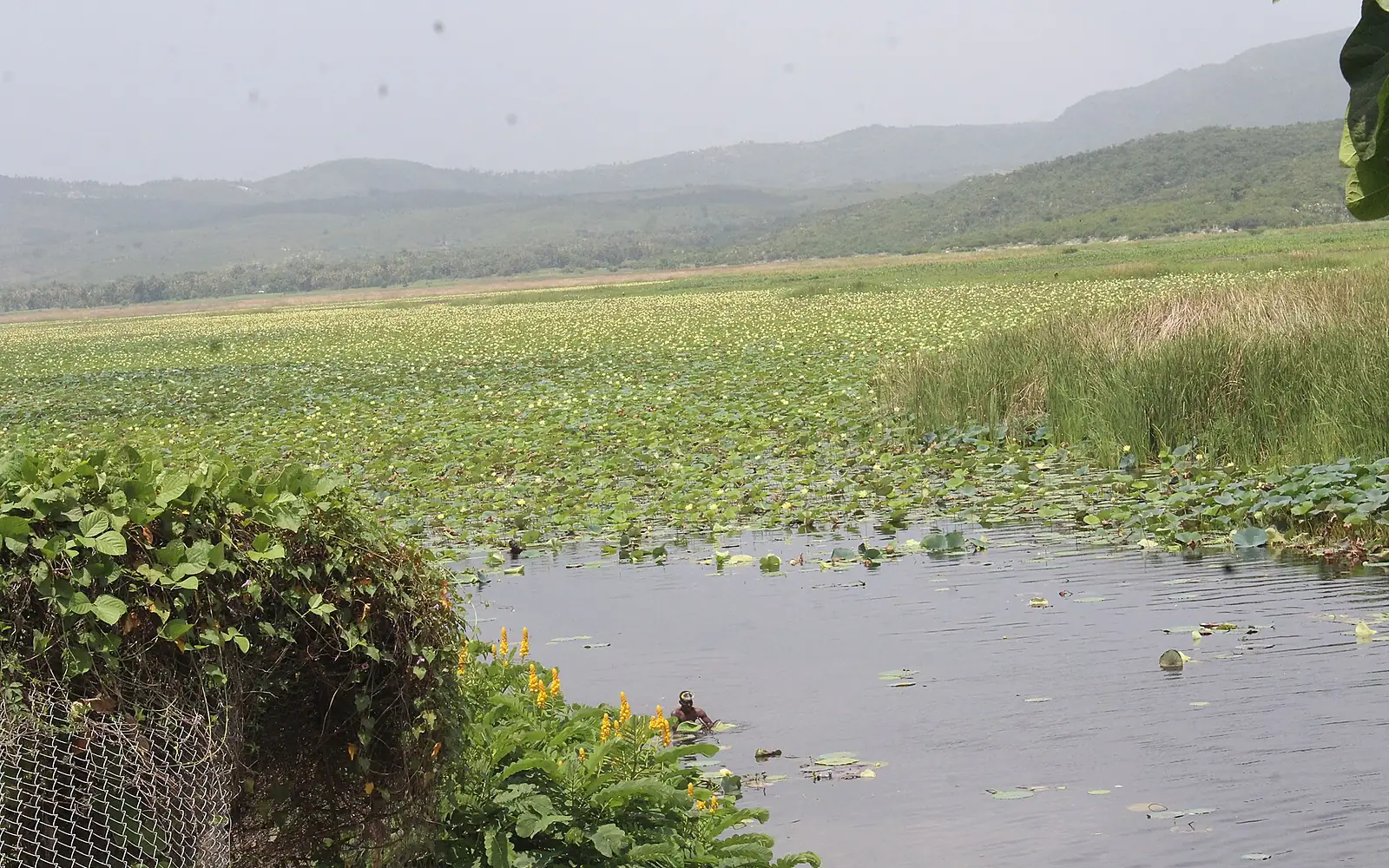 Etang de Miragoane Haiti
