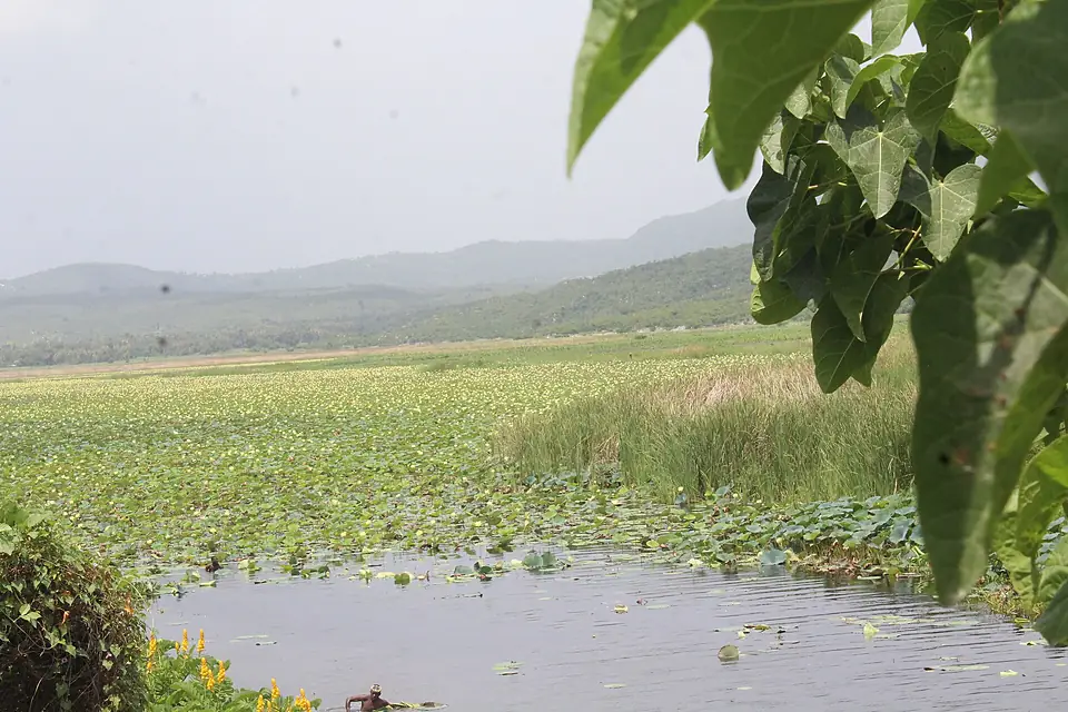 Etang de Miragoane Haïti