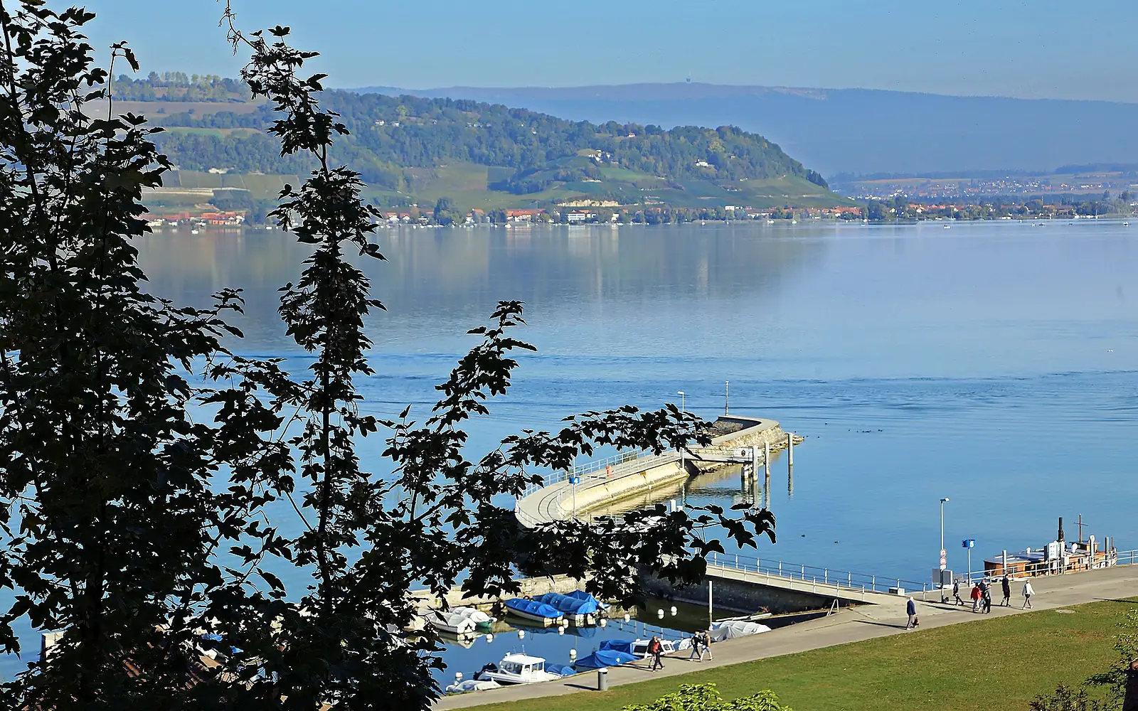 00 0569 Murtensee im Schweizer Kanton Freiburg