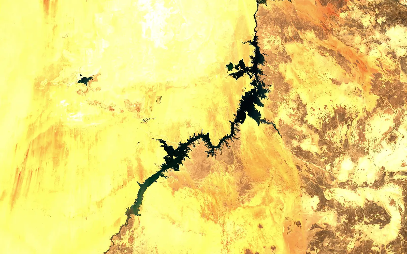 Lake Nasser seen from space (Sentinel-2)