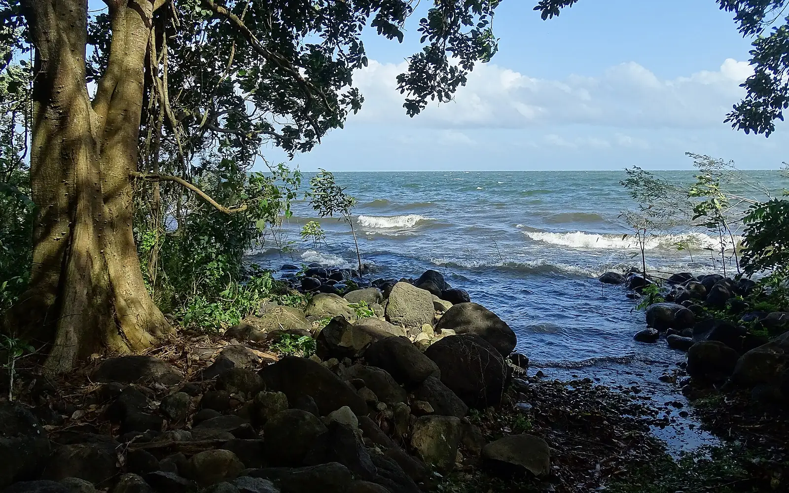 Along the Shore of Lake Nicaragua - Ometepe Island - Nicaragua (31604160892)
