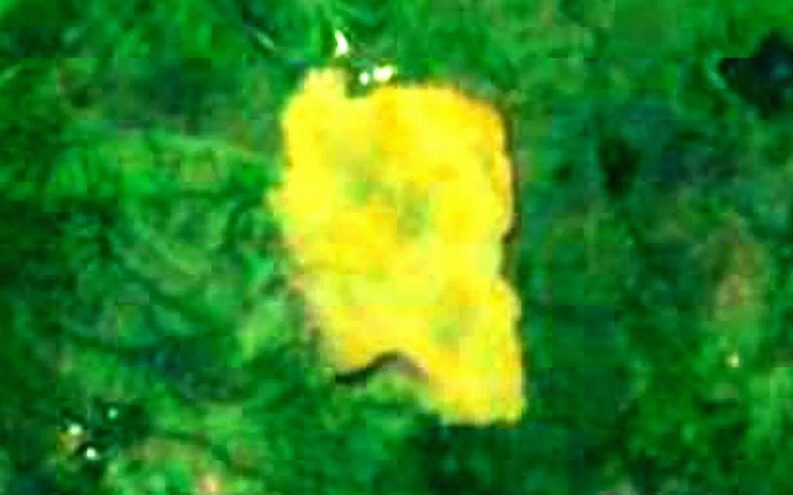 Lake Nyos seen from space (Sentinel-2)