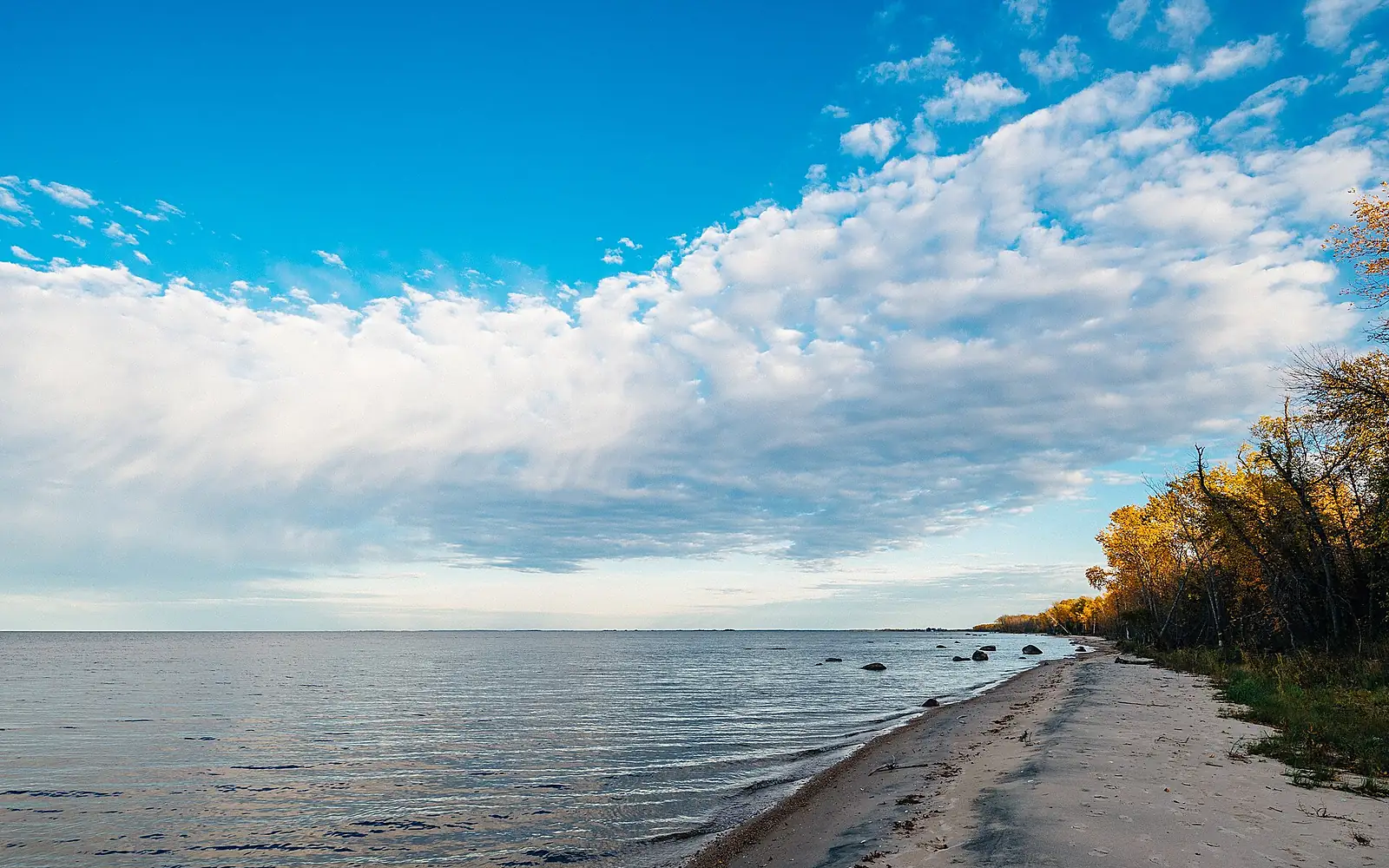Lake of the Woods Beach at Zippel Bay State Park, Minnesota (38845944862)